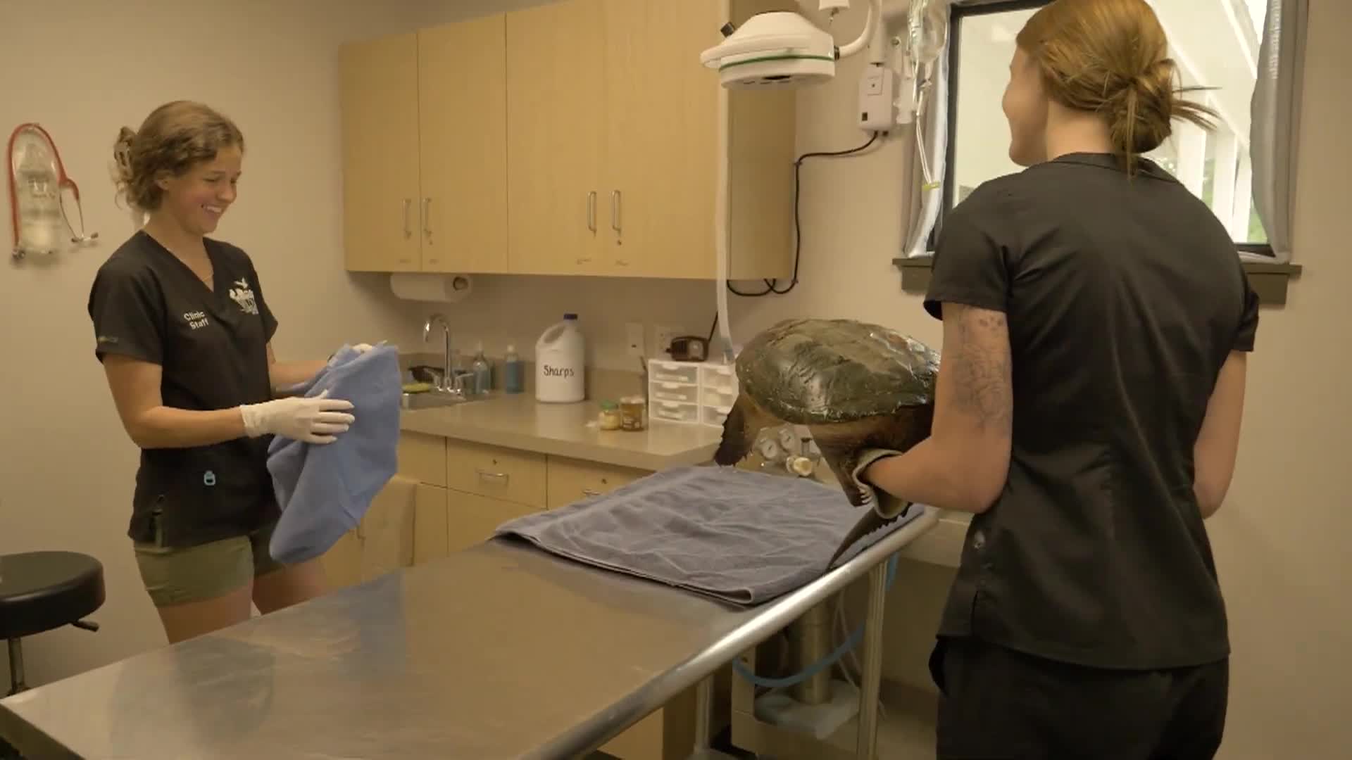 Thumbnail image for New Hampshire Center For Wildlife - Behind The Scenes