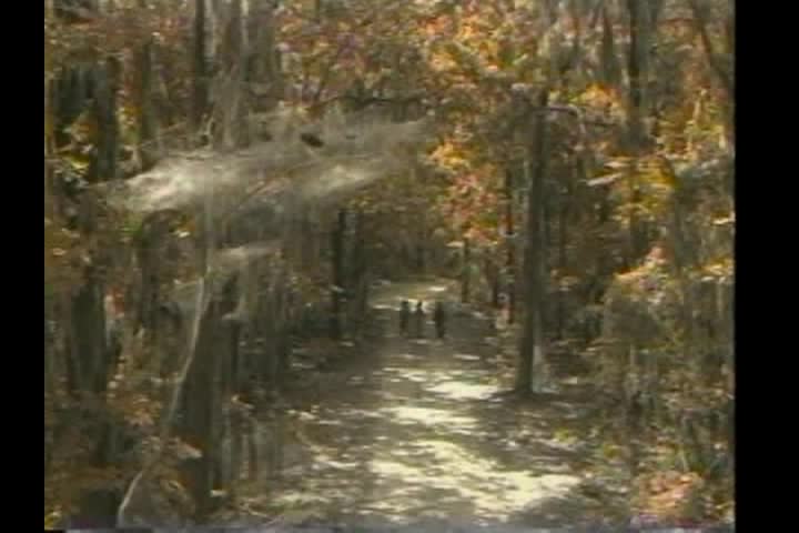 Thumbnail image for Let's Visit - Visits The Crane House In NJ