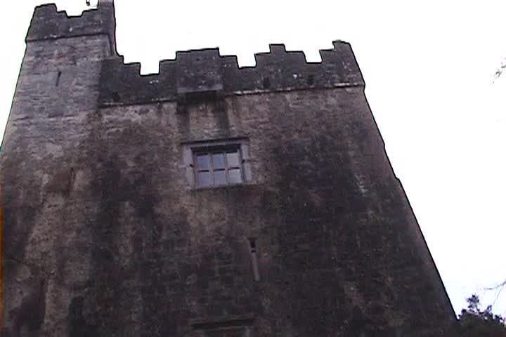 Thumbnail image for Emily's Garden- Irish Castle
