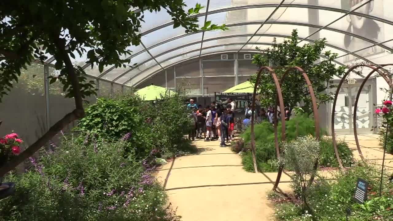 Thumbnail image for Out & About - Butterfly Pavilion