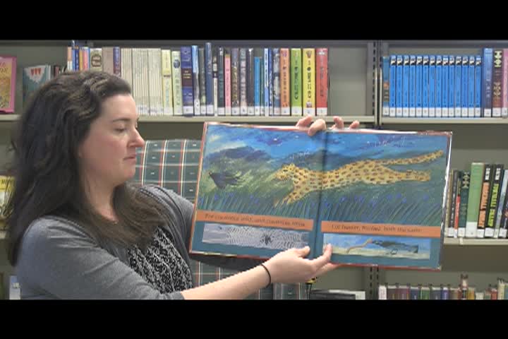 Thumbnail image for Storytime