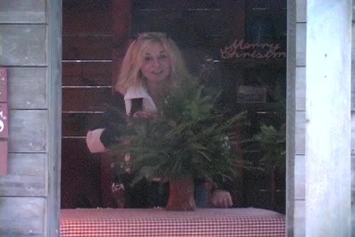 Thumbnail image for Emily's Garden - Christmas