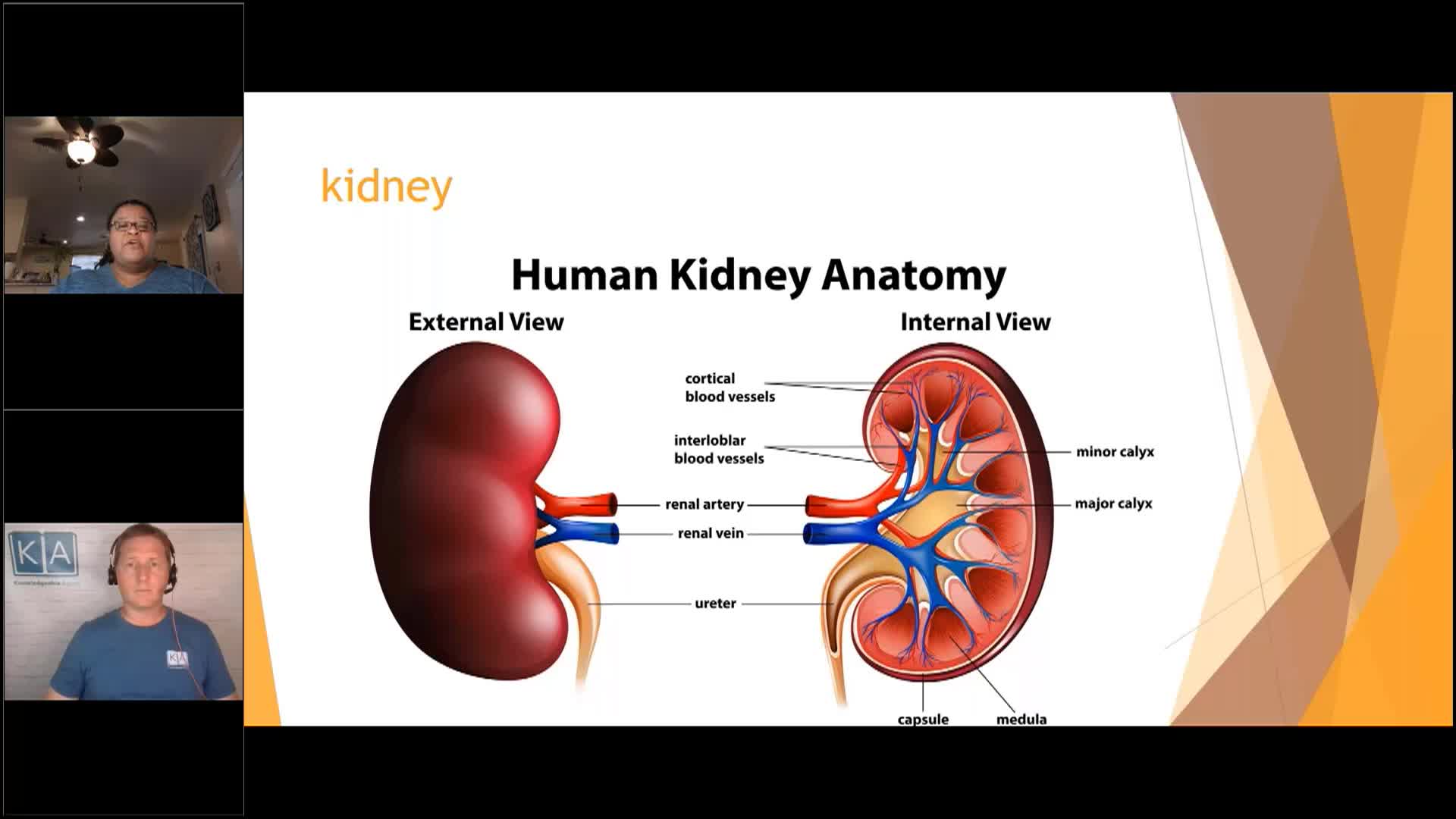 Thumbnail image for Knowledgeable Aging - Urinary Tract Infections