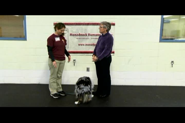 Thumbnail image for Doggy Dilemmas