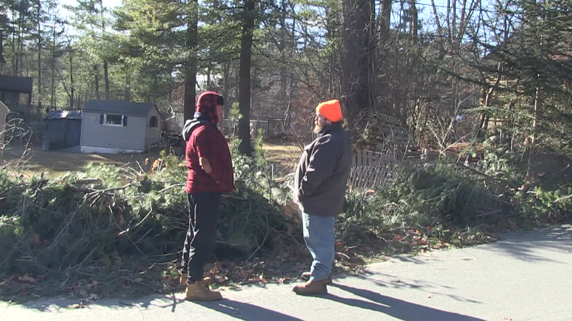 Thumbnail image for Around The Garden With Jimmy K- Tree Cutting/Logging
