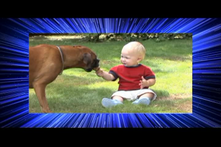 Thumbnail image for Doggy Dilemmas