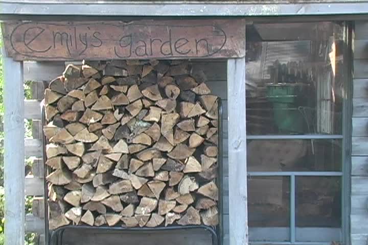 Thumbnail image for Emily's Garden - The Sky Is Falling - Weather