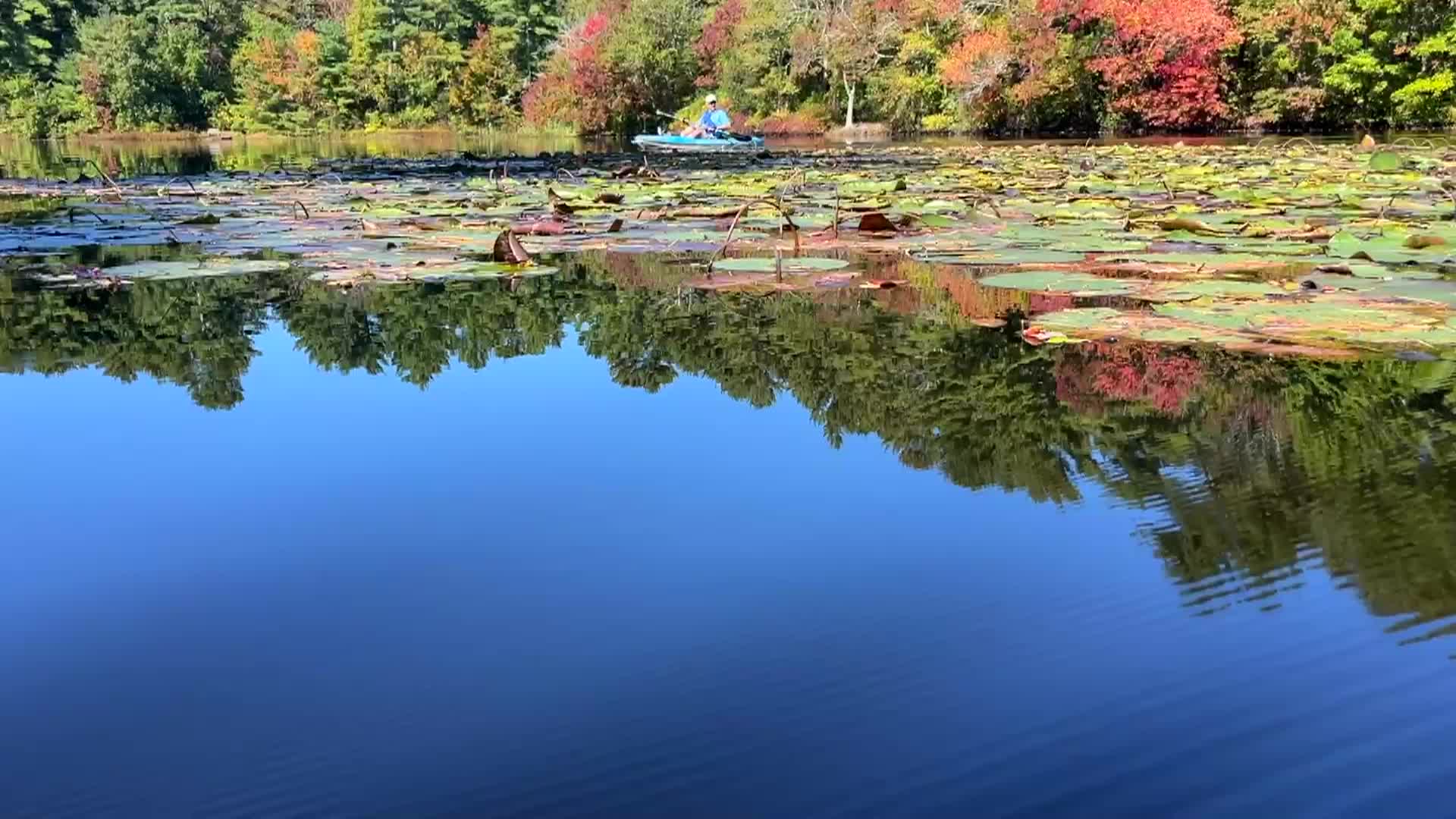 Thumbnail image for Kayaking In Massachusetts - Indian Head River - Hanover