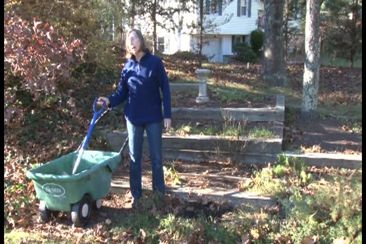 A Walk In The Garden With Liz Davey
