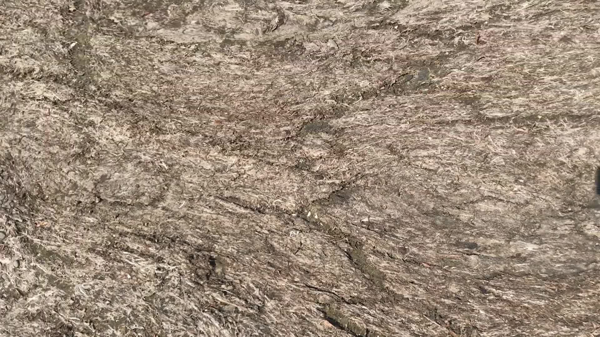 Rations Eps 17 - Land Bridge To Mosquito Island