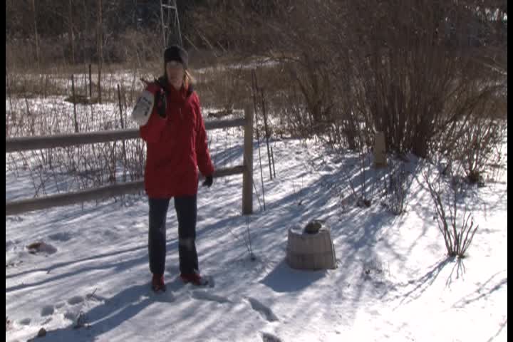 In The Garden With Liz Davey