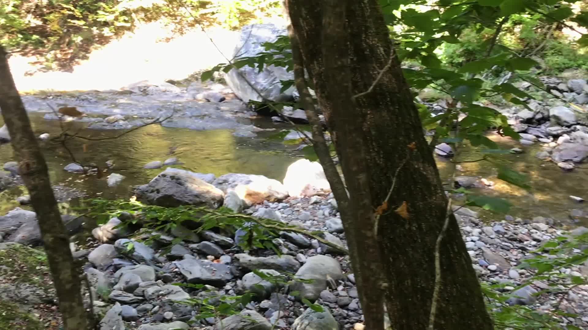 Rations -Eps 19 - Autumnal Mountain Waterfalls