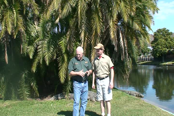 Animal House- Visit To Alligatorland