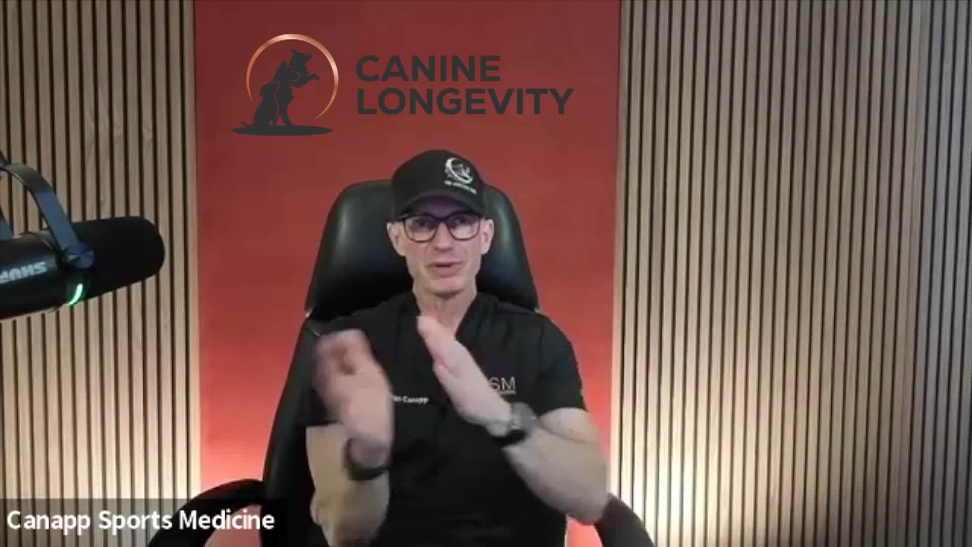 Canine Longevity - How Puppyhood Shapes Long Life Health