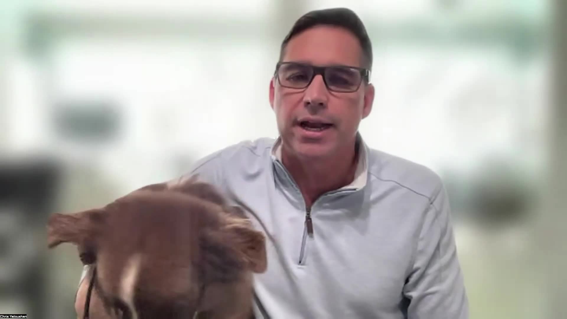 Canine Longevity - Willy Good Dog