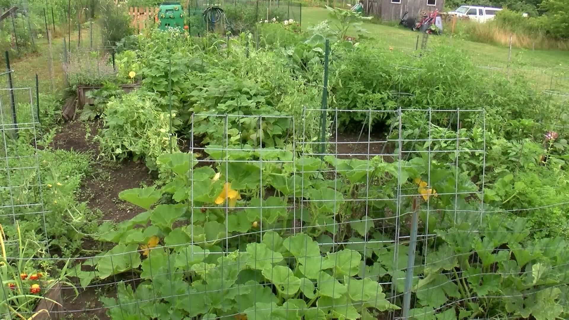 Whats Cooking In Town - Beef and Oyster Stew