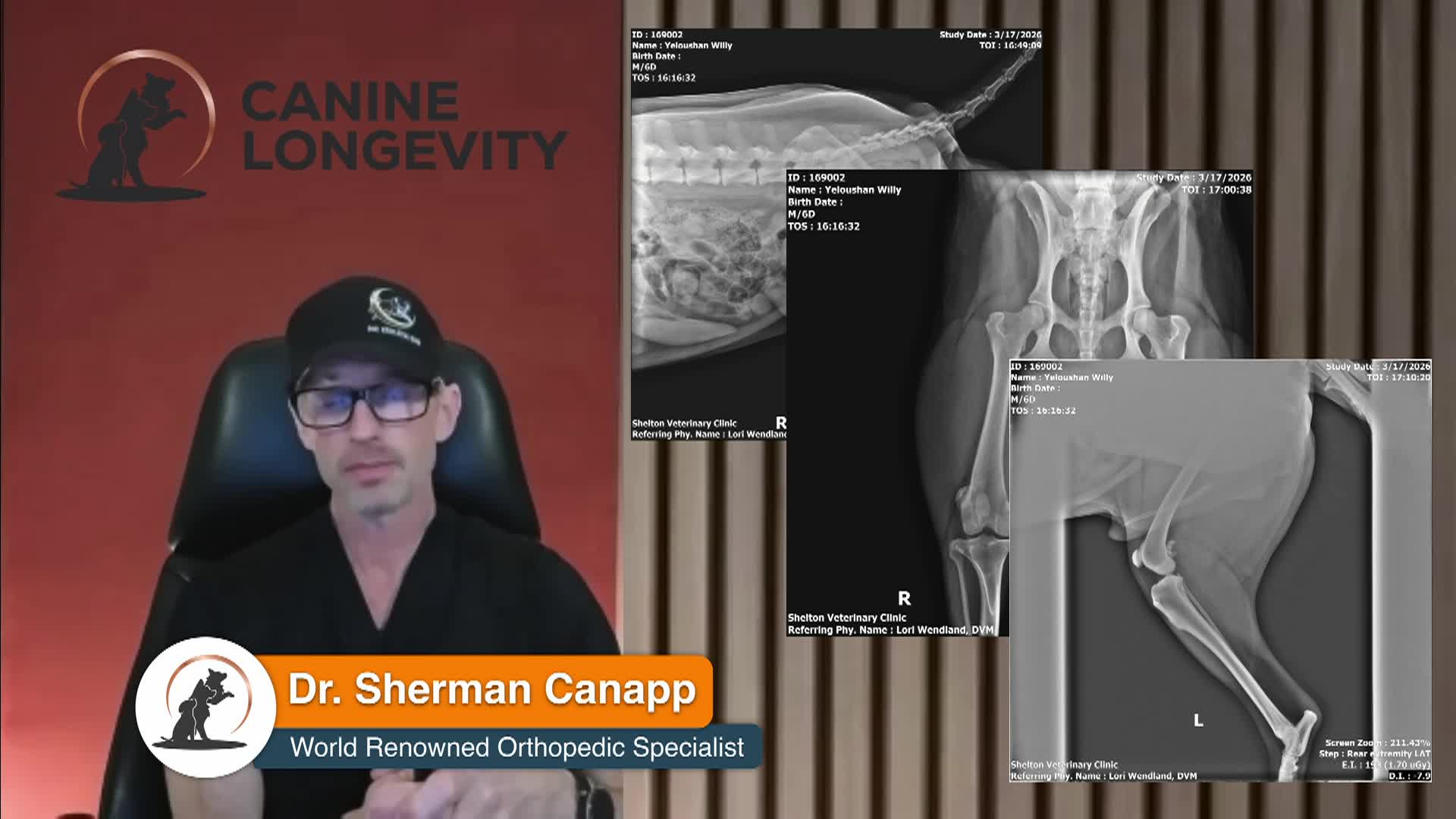 Canine Longevity - Willy Good Dog - Part 2