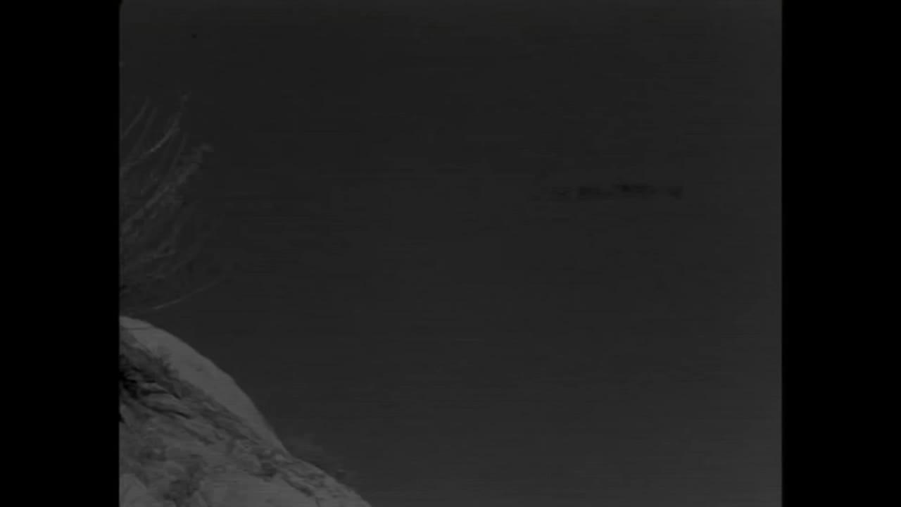 Saturday Night At The Movies - The Man With The Golden Arm - 1955