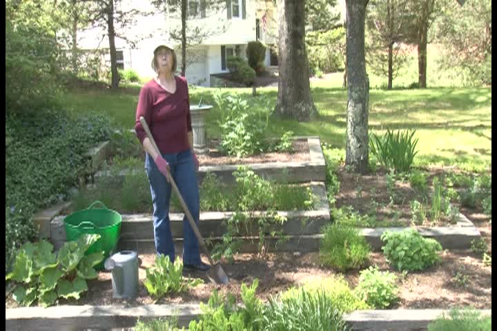 In The Garden With Liz Davey