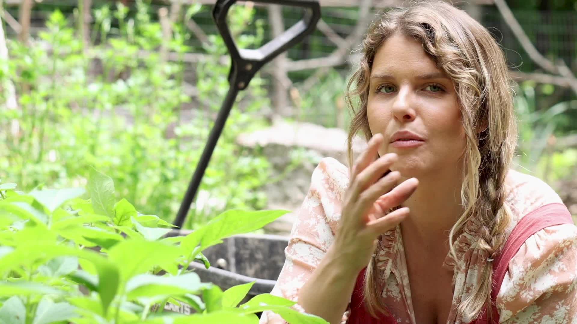 Thumbnail image for Our Gardens - June