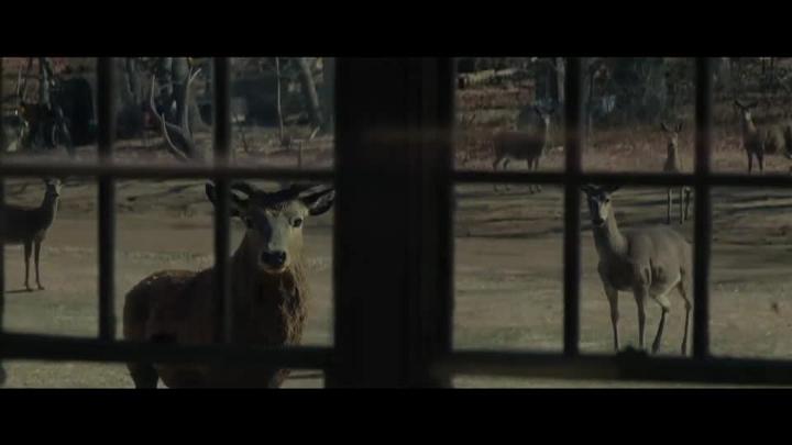 Thumbnail image for Reeling Movie Review Show